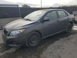 Salvage cars for sale at Orlando, FL auction: 2010 Toyota Corolla Base