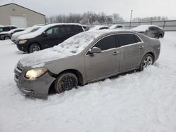 Salvage cars for sale at Lawrenceburg, KY auction: 2010 Chevrolet Malibu 1LT