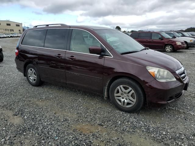 2007 Honda Odyssey EXL