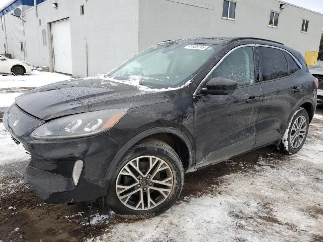 2021 Ford Escape SEL