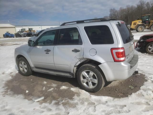 2011 Ford Escape XLT