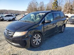 Honda salvage cars for sale: 2015 Honda Odyssey EXL