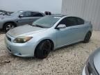 2006 Scion TC