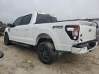 2024 Ford F150 XLT