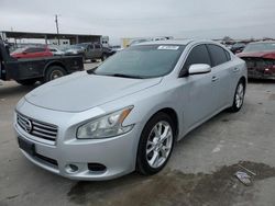 Nissan salvage cars for sale: 2013 Nissan Maxima S