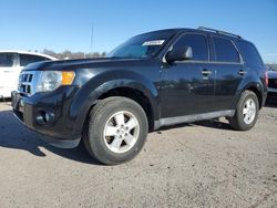 Salvage cars for sale from Copart Pennsburg, PA: 2012 Ford Escape XLT