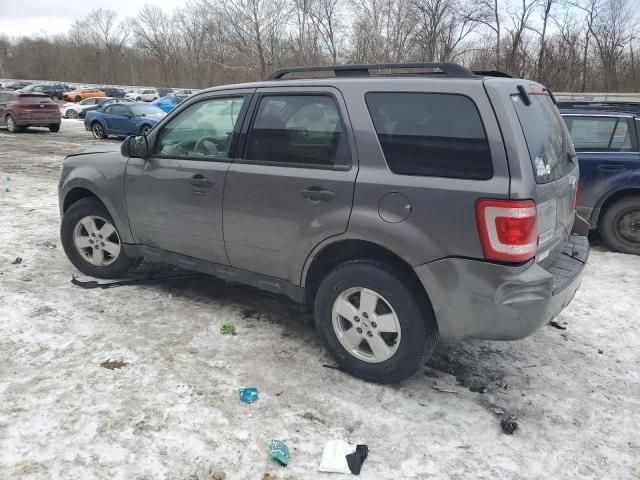 2010 Ford Escape XLT