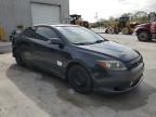 2006 Scion TC