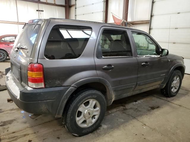 2002 Ford Escape XLT