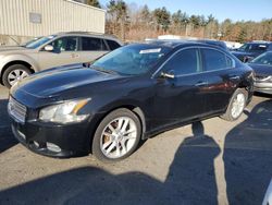 Nissan salvage cars for sale: 2009 Nissan Maxima S