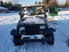 1995 Jeep Wrangler / YJ S