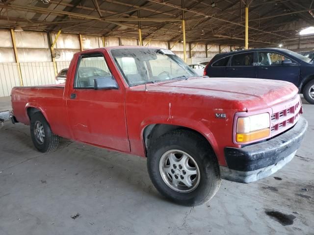 1995 Dodge Dakota