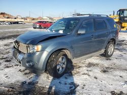 Salvage cars for sale at Marlboro, NY auction: 2010 Ford Escape Limited