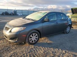 Toyota Corolla Base salvage cars for sale: 2010 Toyota Corolla Base