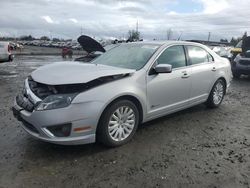 Salvage cars for sale at Eugene, OR auction: 2010 Ford Fusion Hybrid