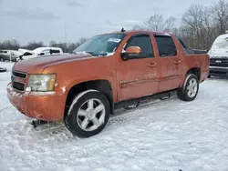 Salvage trucks for sale at Ellwood City, PA auction: 2008 Chevrolet Avalanche K1500