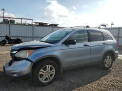 Vehiculos salvage en venta de Copart Kapolei, HI: 2010 Honda CR-V EX