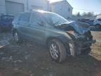 2007 Honda CR-V EXL