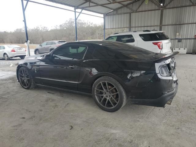 2010 Ford Mustang Shelby GT500