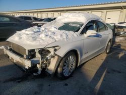 Salvage cars for sale at Louisville, KY auction: 2016 Ford Fusion SE Hybrid