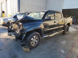 Salvage cars for sale at auction: 2005 Toyota Tacoma Double Cab Prerunner