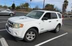 2008 Ford Escape HEV