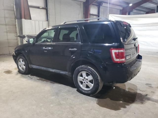 2009 Ford Escape XLT