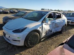 Salvage cars for sale from Copart Martinez, CA: 2023 Tesla Model Y