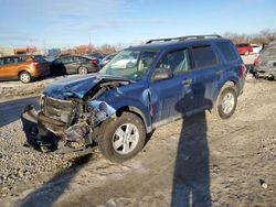 Salvage cars for sale at Columbus, OH auction: 2010 Ford Escape XLT