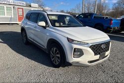 Hyundai Santa fe salvage cars for sale: 2019 Hyundai Santa FE SEL