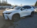 2022 Lexus NX 250