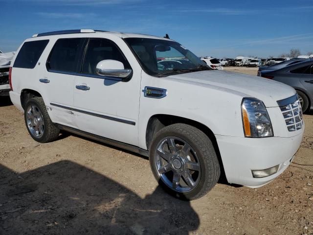 2013 Cadillac Escalade Hybrid