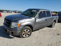 2014 Ford F150 Supercrew en venta en Houston, TX