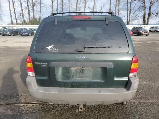 2001 Ford Escape XLT