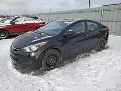 Salvage cars for sale at Ottawa, ON auction: 2015 Hyundai Elantra SE