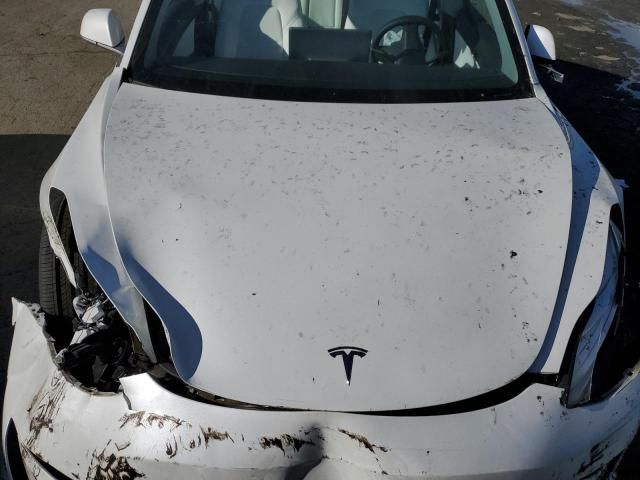 2020 Tesla Model 3