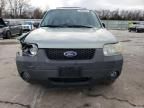 2006 Ford Escape XLT