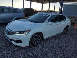 Salvage cars for sale from Copart Phoenix, AZ: 2016 Honda Accord EX