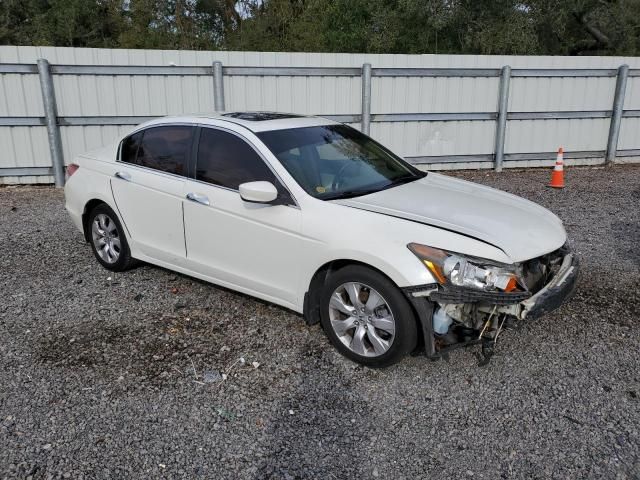 2010 Honda Accord EXL