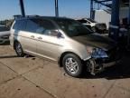 2005 Honda Odyssey EXL