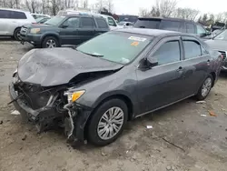 Salvage cars for sale at Baltimore, MD auction: 2013 Toyota Camry L