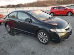 2010 Honda Civic EXL