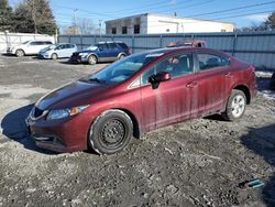 Salvage cars for sale at Albany, NY auction: 2013 Honda Civic LX