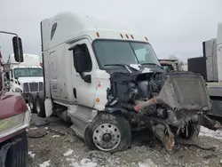 Freightliner salvage cars for sale: 2017 Freightliner Cascadia 125