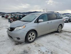 Salvage cars for sale at Helena, MT auction: 2013 Toyota Sienna LE