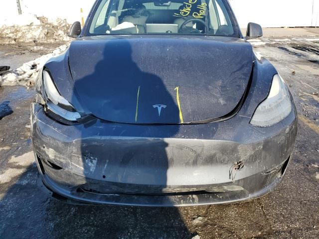 2020 Tesla Model Y