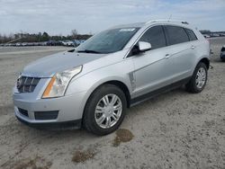 Vehiculos salvage en venta de Copart Lumberton, NC: 2010 Cadillac SRX Luxury Collection