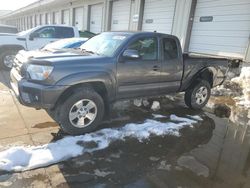 Toyota salvage cars for sale: 2014 Toyota Tacoma