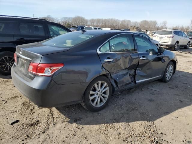 2010 Lexus ES 350