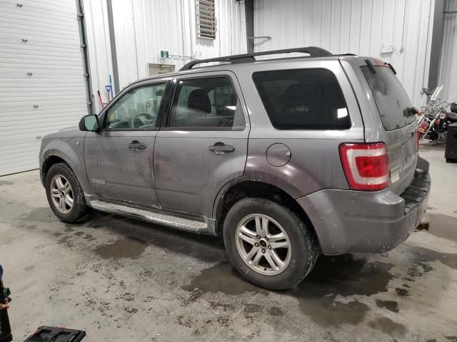 2008 Ford Escape XLT